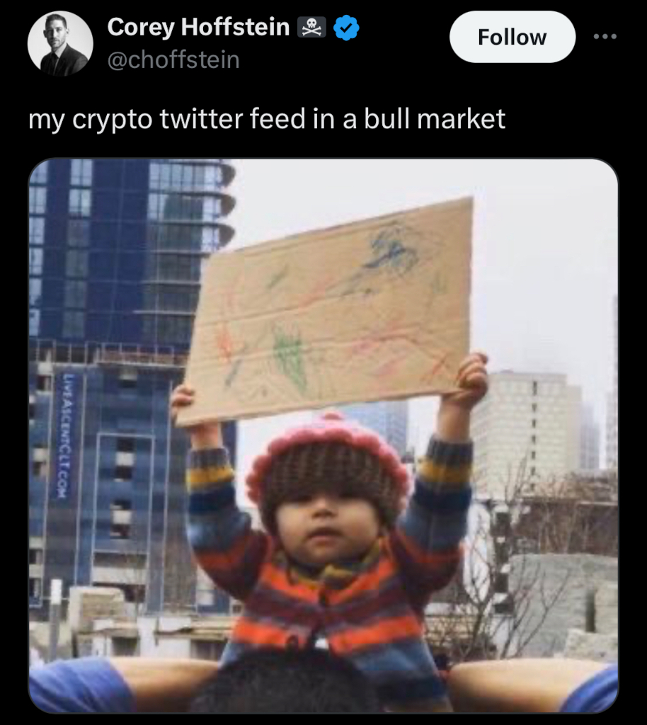 description: The meme of the baby holding up a protest sign full of scribbles. The tweet reads: 'my crypto twitter feed in a bull market'. Image source: Corey Hoffstein's Twitter feed, 2024/03/06. Yes, I'm still calling it 'Twitter.'